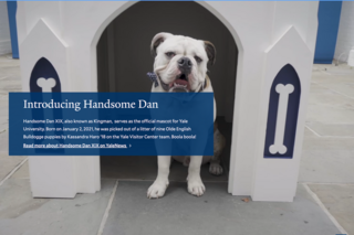 Yale's bulldog mascot Handsome Dan smiling from inside his doghouse in the visitor center