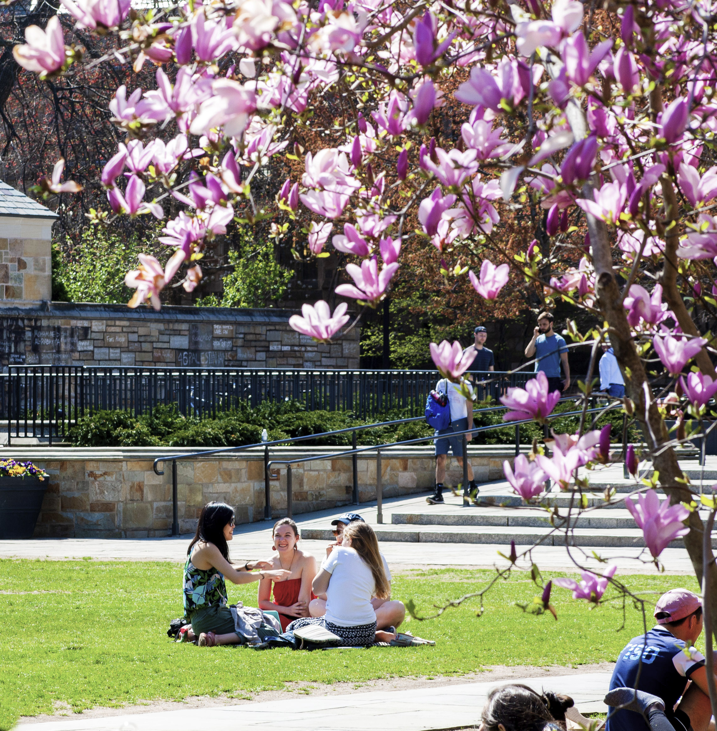 Students sitting at Cross Campus