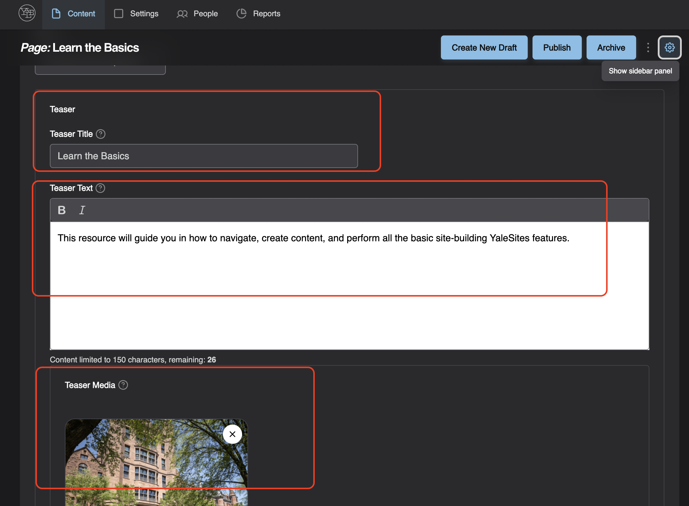 screenshot of teaser settings