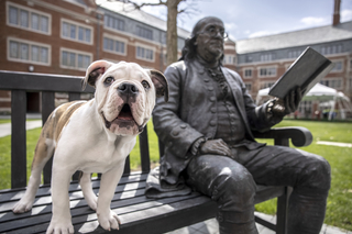 Handsome Dan smiles for the camera beside a statue of Ben Franklin