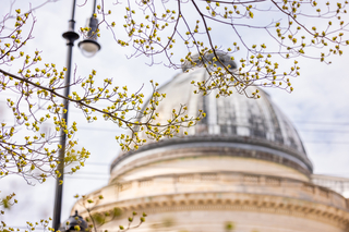 woolsey hall dome