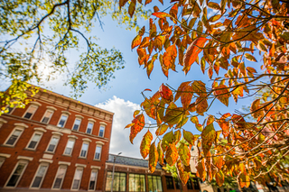 Fall leave on the campus in 2020