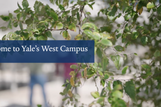 Use of the Grand Hero block on the West Campus website.