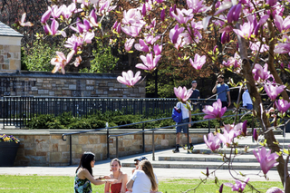Students sitting at Cross Campus