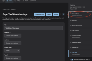 Screen shot highlights menu settings in side panel