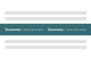 taxonomy display block icon