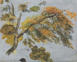 Tree Study (Autumn Foliage)https://collections.britishart.yale.edu/?f[loc_naf_author_ss][]=Linnell,%20John,%201729-1796