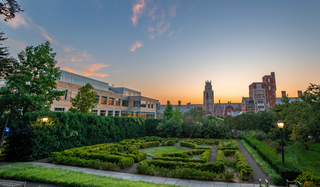 yale campus sunset