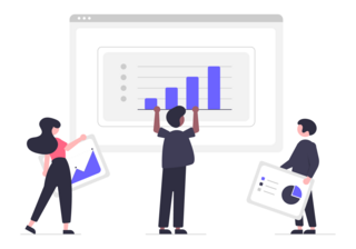 embed reports