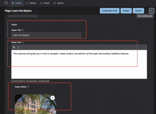 screenshot of teaser settings